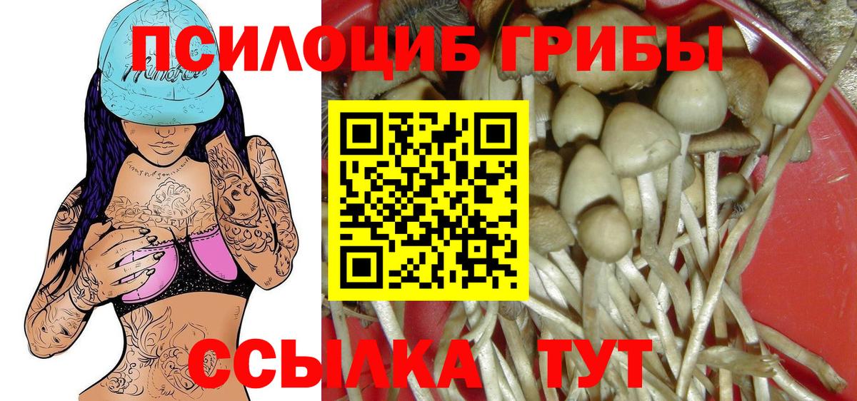 Галлюциногенные грибы ЛСД Рязань