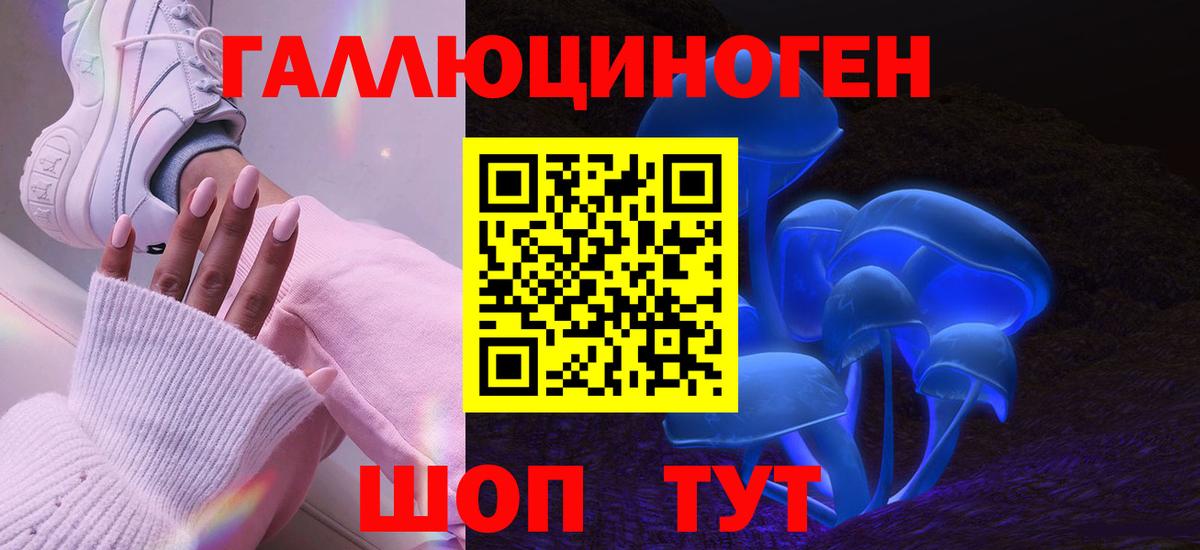 Псилоцибиновые грибы GOLDEN TEACHER  Галлюциногенные грибы Psilocybine cubensis  Рязань  Вход с VPN 