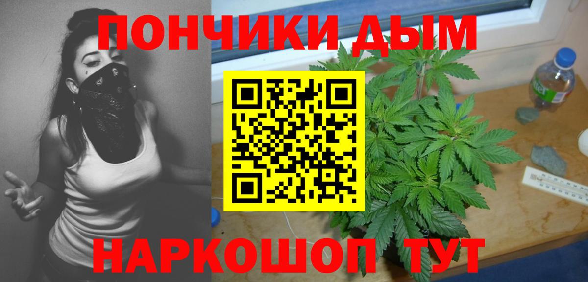 Бошки Шишки ГИДРОПОН Рязань